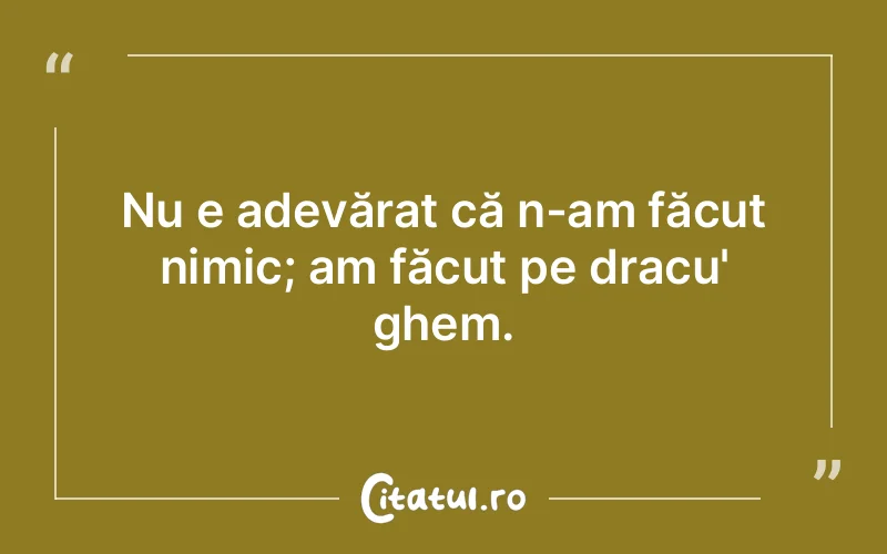 Nu e adevărat că n-am făcut nimic; am făcut pe dracu' ghem.
