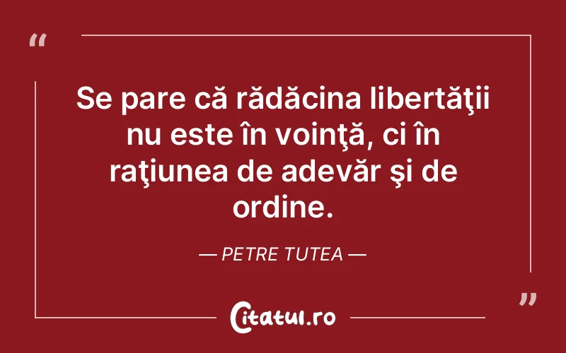 Citat Petre Tutea - citate viata