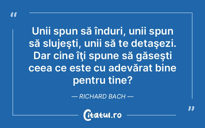 Citat Richard Bach - citate viata