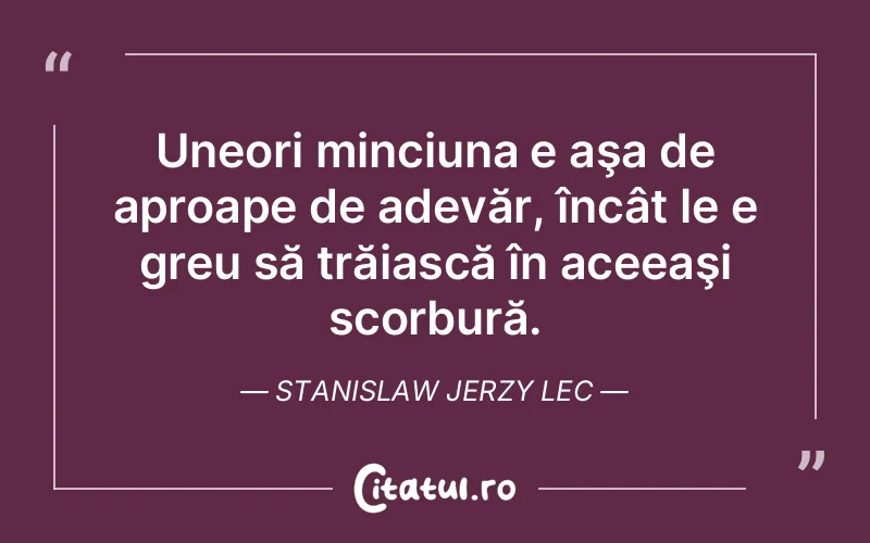 Citat Stanislaw Jerzy Lec - citate viata