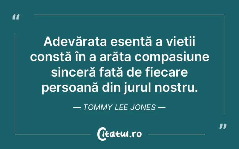 Citat Tommy Lee Jones - citate viata