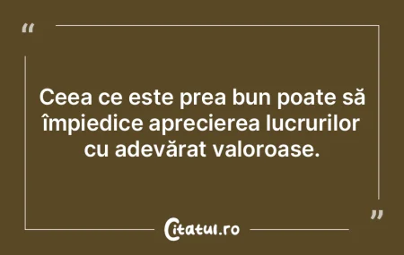 Misiunea mea este să îmi omor timpul, ...