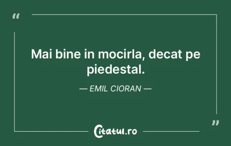 Dacă nu pricepem ceva, să zicem mai bi...