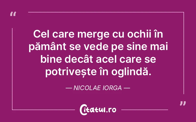 Citat Nicolae Iorga - citate viata
