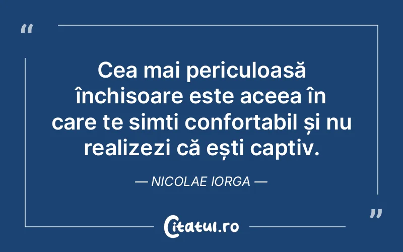 Citat Nicolae Iorga - citate viata