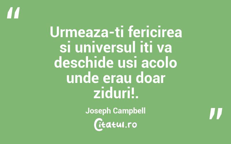 Urmeaza-ti fericirea si universul iti va deschide usi acolo unde erau doar ziduri!. Joseph Campbell
