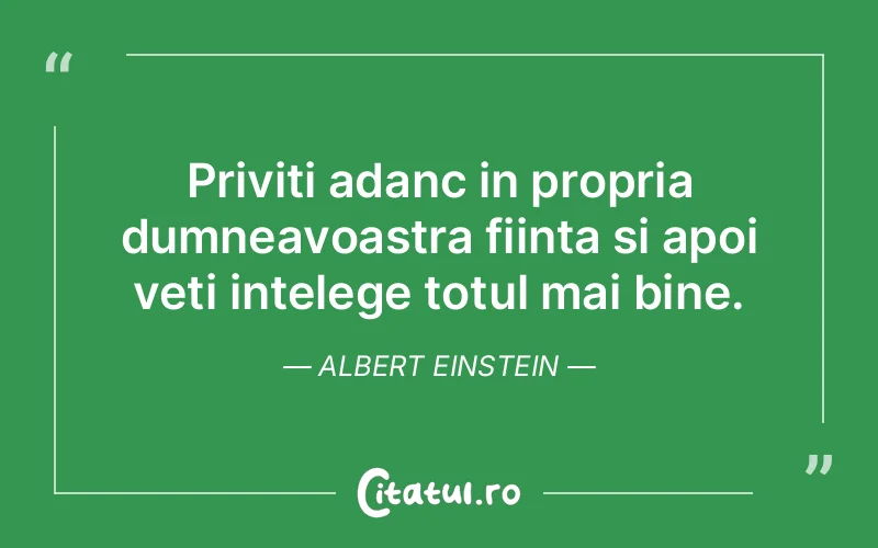Citat Albert Einstein - citate viata