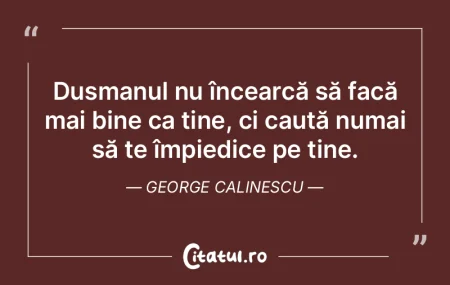 Un idealist este cineva care, observand ...