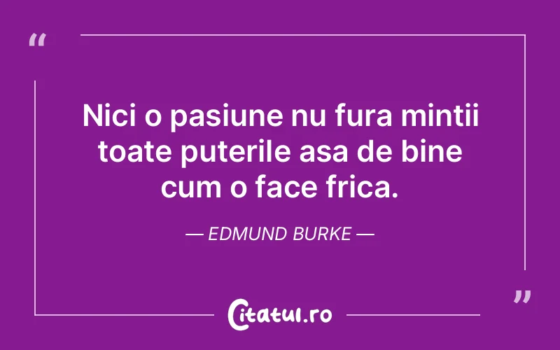 Citat Edmund Burke - citate viata