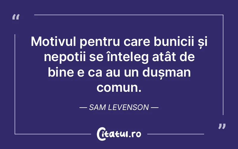 Citat Sam Levenson - citate viata