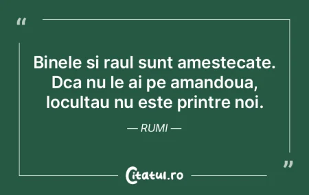 Datoria nu este altceva decat conformare... Datoria nu este altceva decat conformare...