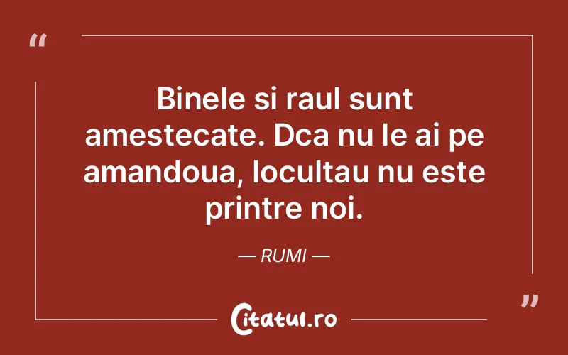 Citat Rumi - citate viata