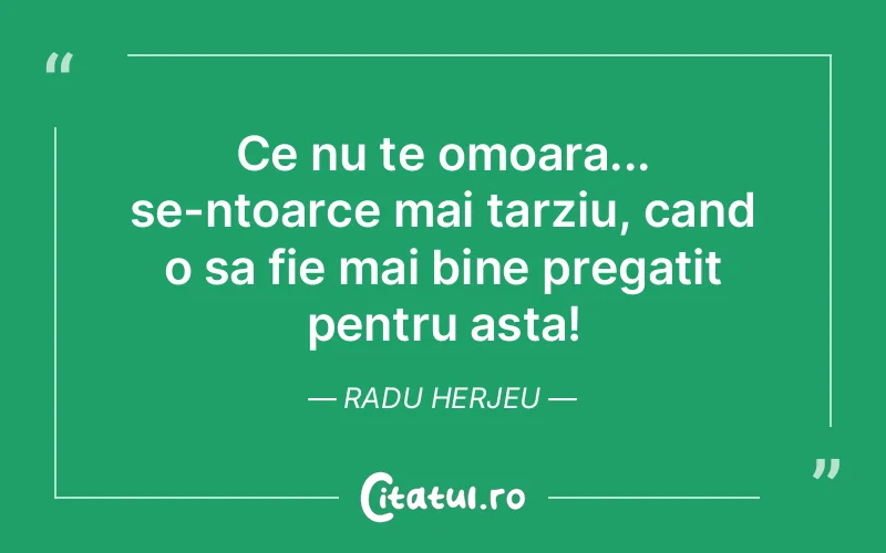 Citat Radu Herjeu - citate viata