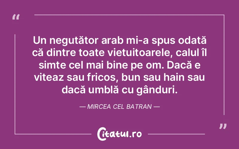 Citat Mircea Cel Batran - citate viata