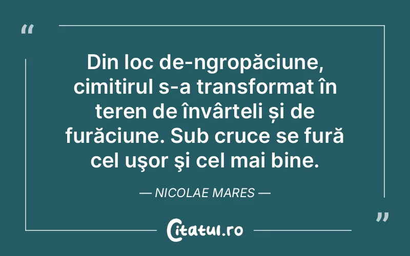 Citat Nicolae Mares - citate viata