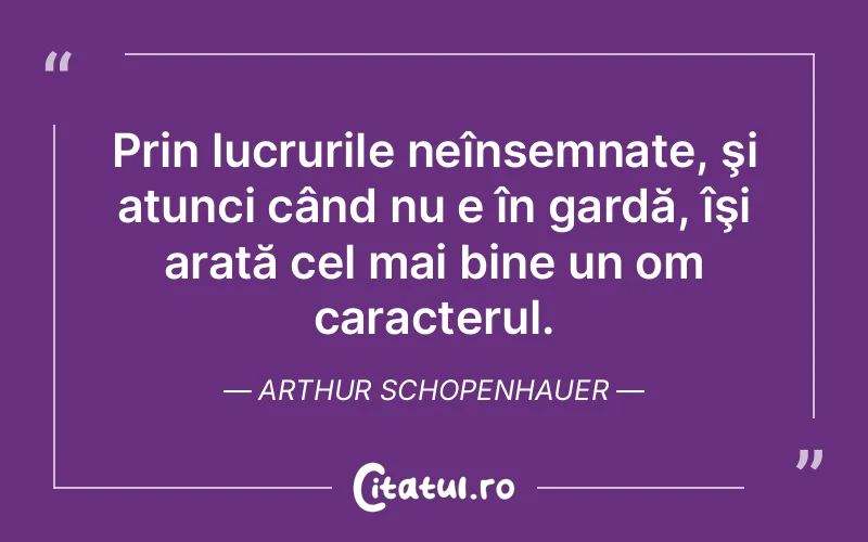 Citat Arthur Schopenhauer - citate viata