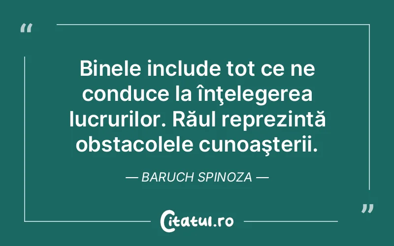 Citat Baruch Spinoza - citate viata
