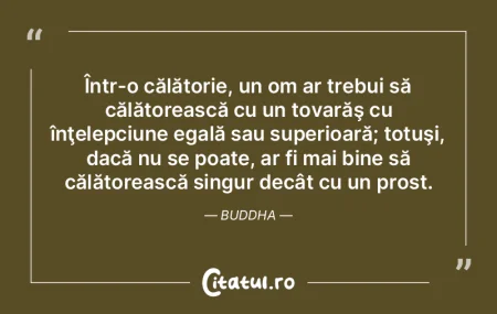Să fii adânc învăţat şi meşteşug... Să fii adânc învăţat şi meşteşug...