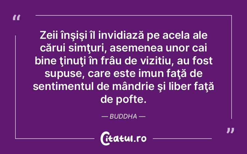 Citat Autor necunoscut - citate viata