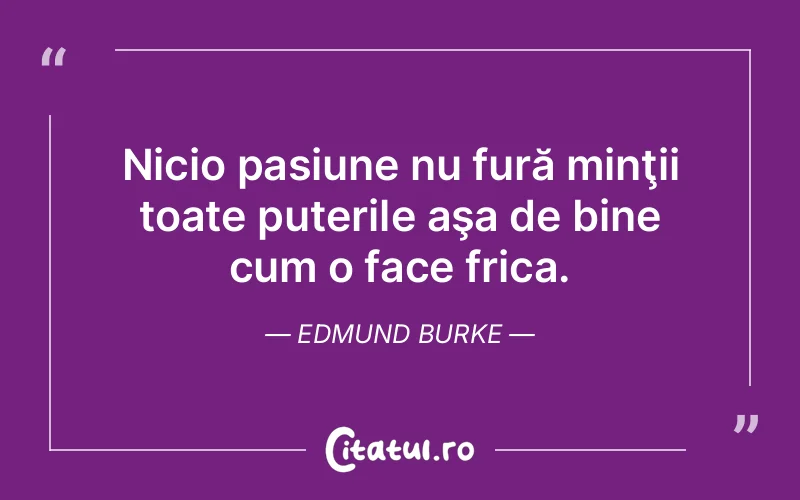 Citat Edmund Burke - citate viata