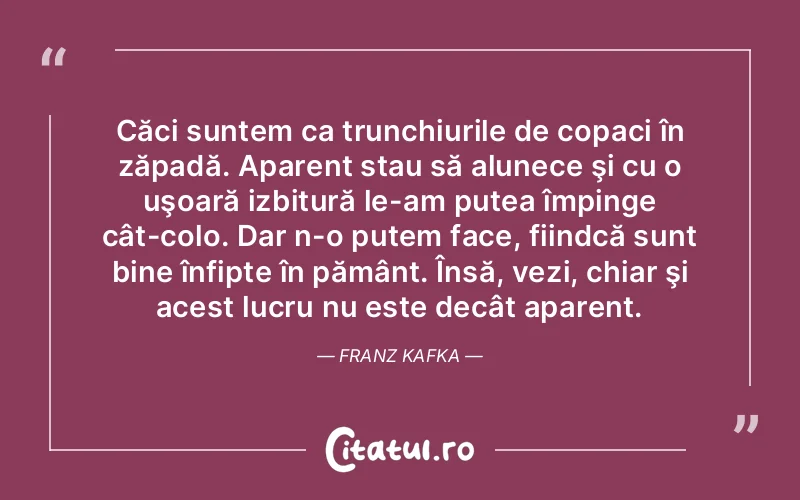 Căci suntem ca trunchiurile de copaci în zăpadă. Aparent stau să alunece şi cu o uşoară izbitură le-am putea împinge cât-colo. Dar n-o putem face, fiindcă sunt bine înfipte în pământ. Însă, vezi, chiar şi acest lucru nu este decât aparent. Franz Kafka