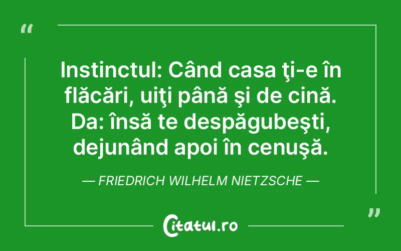 Citat Friedrich Wilhelm Nietzsche - citate viata