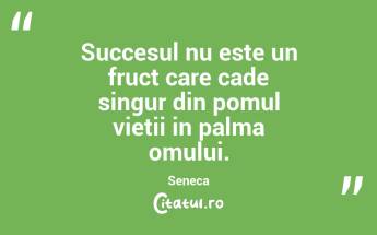 Succesul nu este un fruct care cade singur din pomul vietii in palma omului. Seneca...