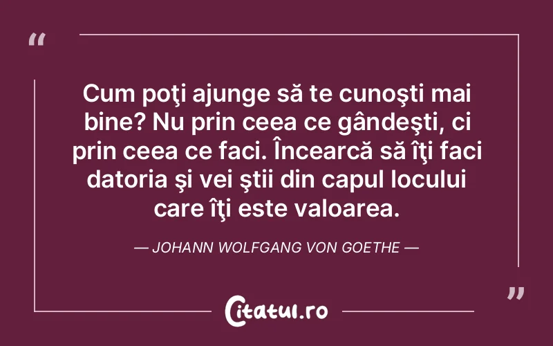 Citat Johann Wolfgang - citate viata