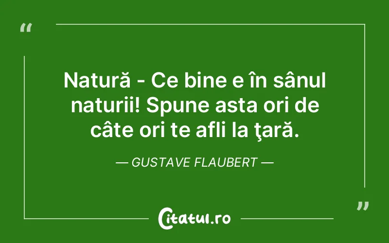 Citat Gustave Flaubert - citate viata