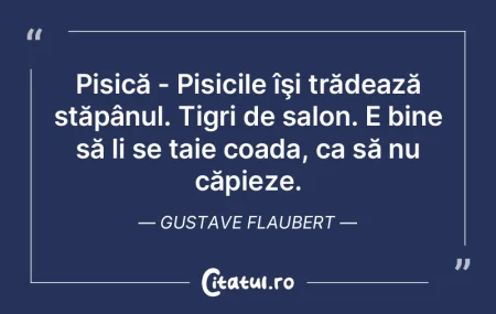 Bătătură (la picioare) - Indică schi... Bătătură (la picioare) - Indică schi...