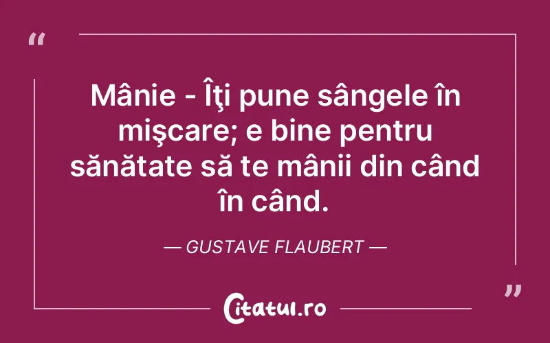 Citat Gustave Flaubert - citate viata