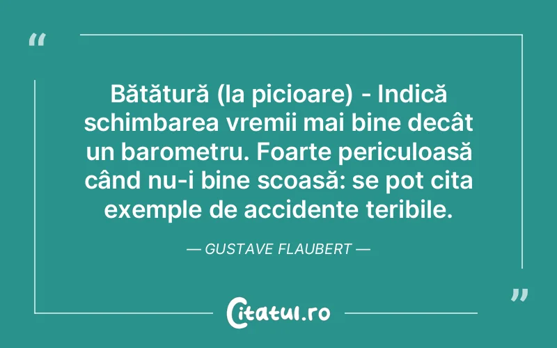 Citat Gustave Flaubert - citate viata