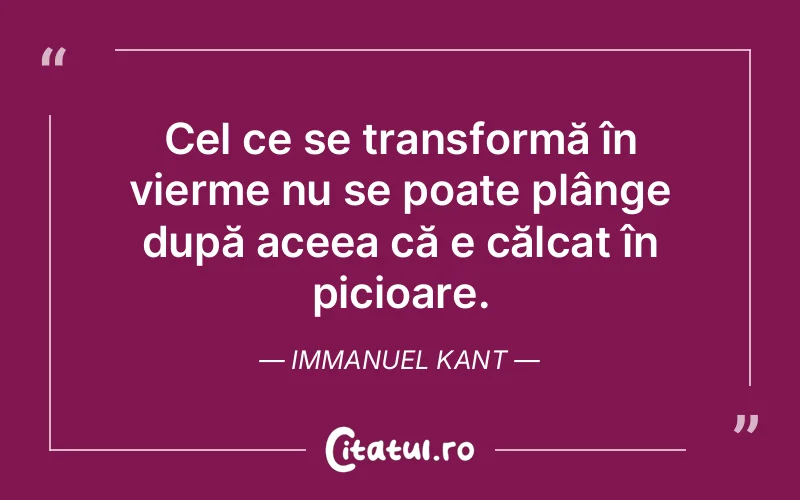 Citat Immanuel Kant - citate viata