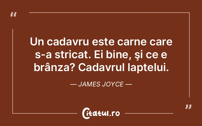 Citat James Joyce - citate viata