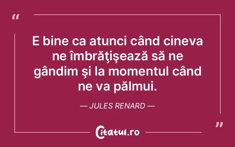Citat Jules Renard - citate viata