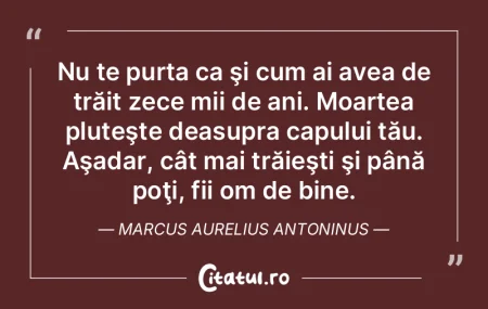 Mai bine îşi foloseşte timpul cel car...