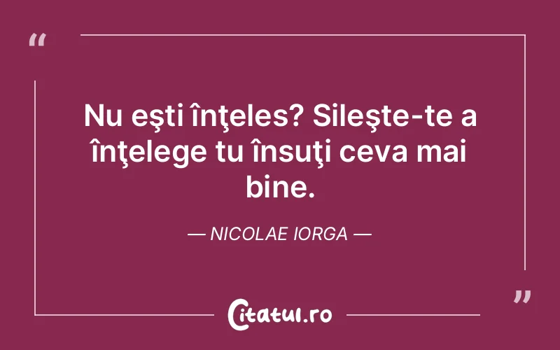 Citat Nicolae Iorga - citate viata