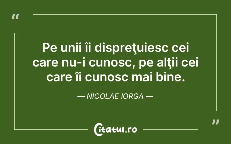 Citat Nicolae Iorga - citate viata