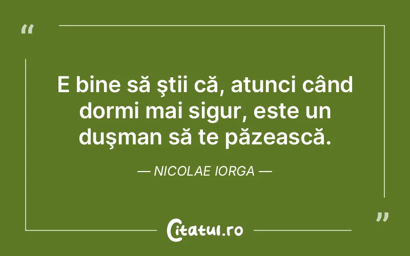 Citat Nicolae Iorga - citate viata