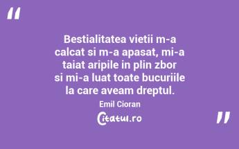 Bestialitatea vietii m-a calcat si m-a apasat, mi-a taiat aripile in plin zbor si mi-a luat toate bucuriile la care aveam dreptul. Emil Cioran...