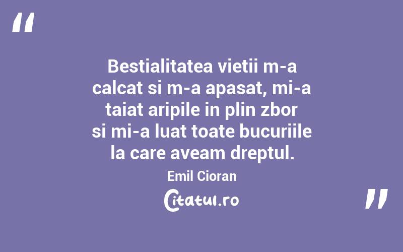 Bestialitatea vietii m-a calcat si m-a apasat, mi-a taiat aripile in plin zbor si mi-a luat toate bucuriile la care aveam dreptul. Emil Cioran
