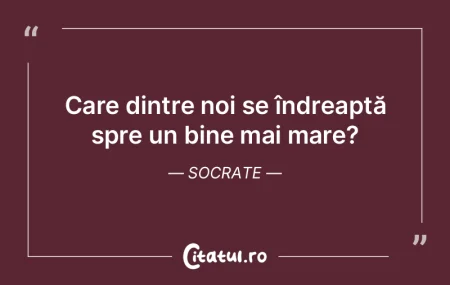 În nici o împrejurare nu este bine şi... În nici o împrejurare nu este bine şi...