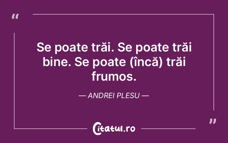 Citat Andrei Plesu - citate viata