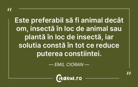 Nimic nu dovedeşte mai bine cât de mul...