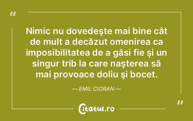 Citat Emil Cioran - citate viata