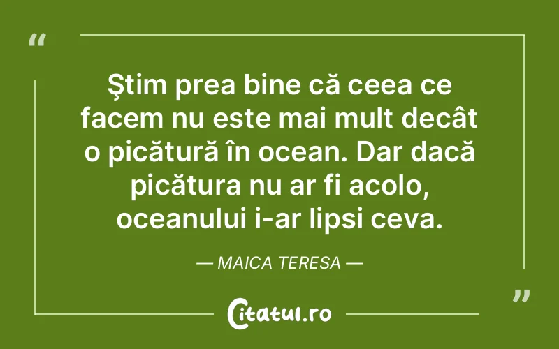 Citat Maica Teresa - citate viata