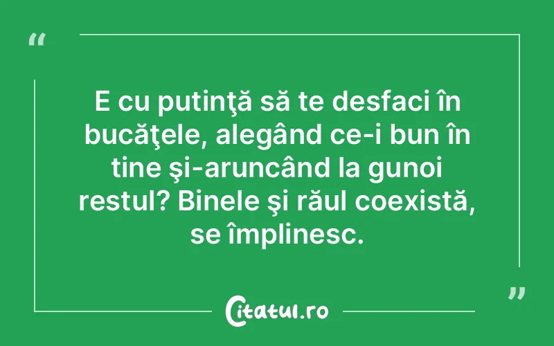 E cu putinţă să te desfaci în bucăţele, alegând ce-i bun în tine şi-aruncând la gunoi restul? Binele şi răul coexistă, se împlinesc.