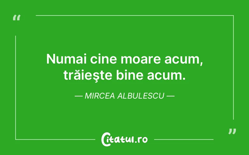 Citat Mircea Albulescu - citate viata