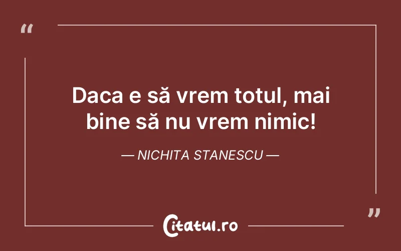 Citat Nichita Stanescu - citate viata