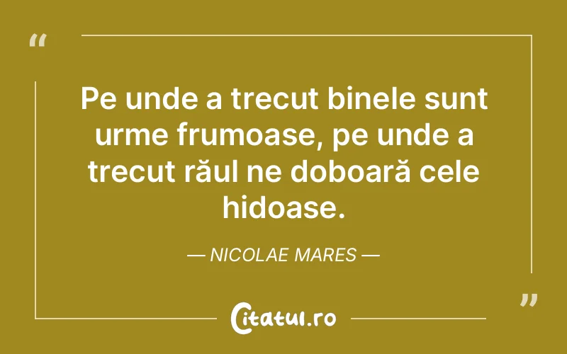 Citat Nicolae Mares - citate viata